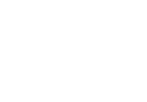 Slice Logo